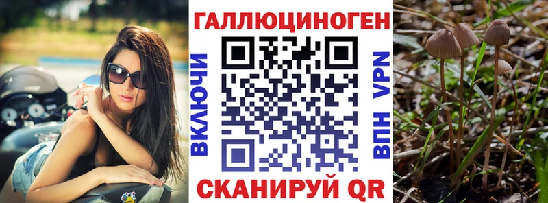 Галлюциногенные грибы Psilocybine cubensis  Ясногорск 
